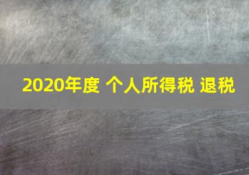 2020年度 个人所得税 退税